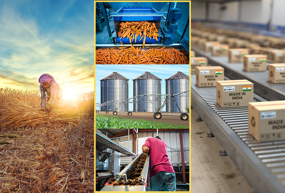 A person working in a field during sunrise or sunset, surrounded by crops